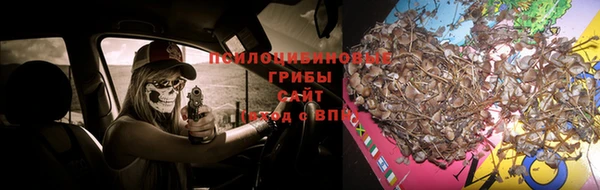 jwh Зеленокумск