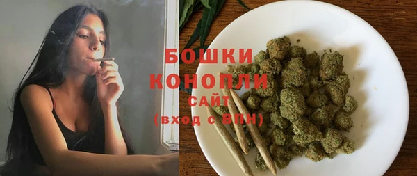 молекула духа Зеленодольск