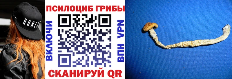 Галлюциногенные грибы MAGIC MUSHROOMS  купить   Поворино 